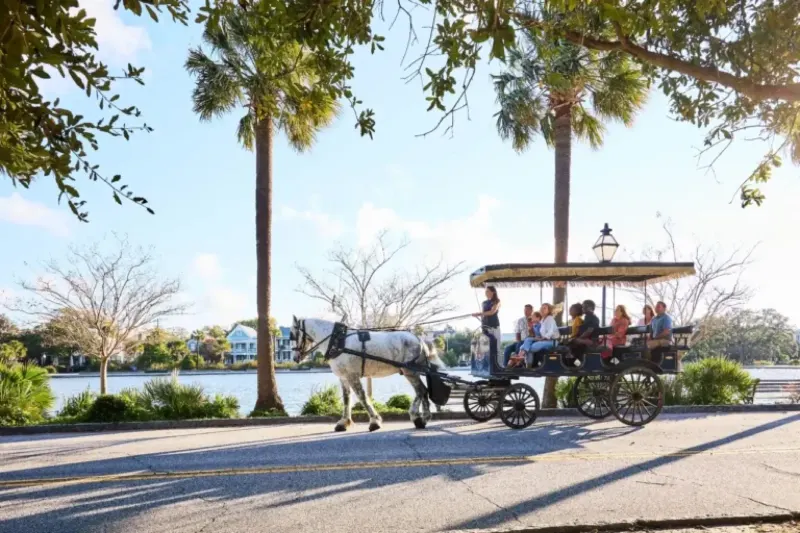 Photo: Palmetto Carriage Works Palmetto Carriage Works: Tour · Market / Ansonborough